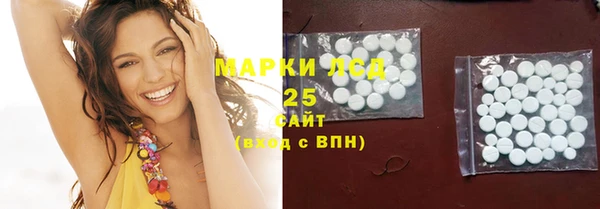 сатива Горняк