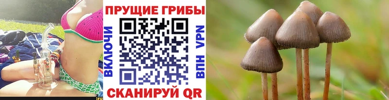 Псилоцибиновые грибы GOLDEN TEACHER Спас-Деменск